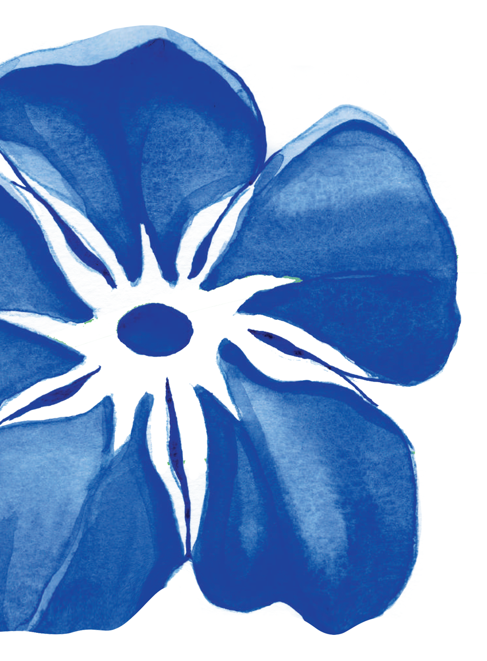 blomst 1 